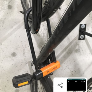 Specialized Black