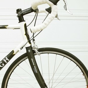 2004 Raleigh Prestige Black, White, and Yellow or Gold