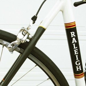 2004 Raleigh Prestige Black, White, and Yellow or Gold