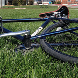 2013 Fuji Americano Blue