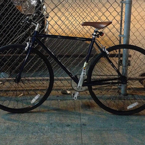 2013 Fuji Americano Blue