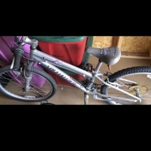 Specialized Hotrock 24 21-Speed Girls Silver, gray or bare metal