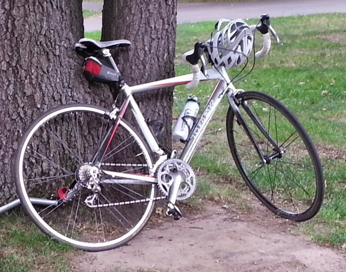 white trek bike