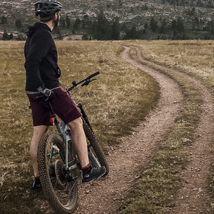 2017 Trek Roscoe 8 Silver, gray or bare metal