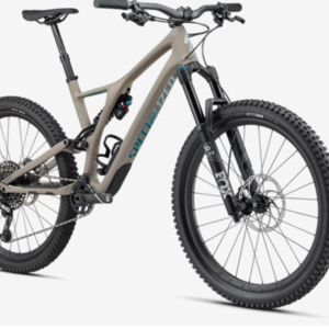 2020 Specialized Stumpjumper Silver, gray or bare metal