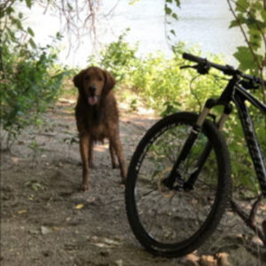 2014 Specialized Epic Comp Black