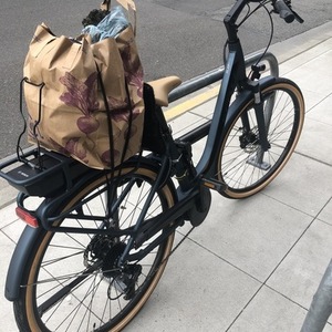 2020 SCOTT USA Sub Active eRide Silver, gray or bare metal