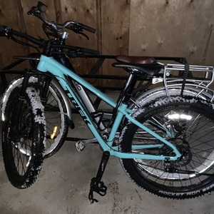 2019 Trek Blue
