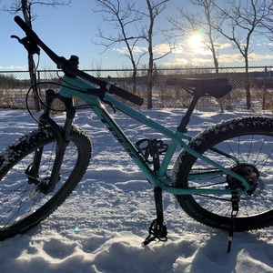 2019 Trek Blue