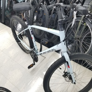 2020 Specialized Roll Blue