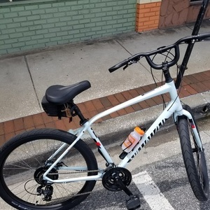 2020 Specialized Roll Blue