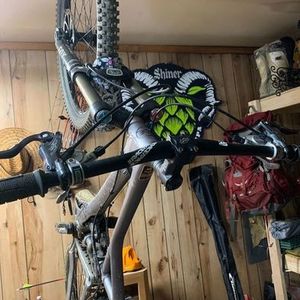2007 Giant Reign X0 Silver, gray or bare metal