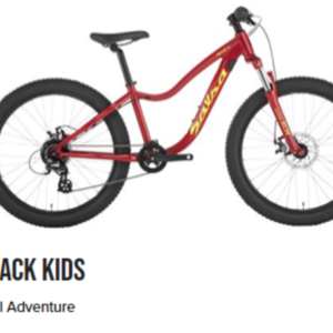 2020 Salsa Timber jack 24” Sus Red