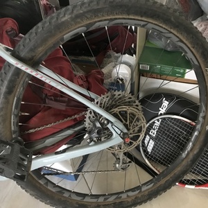 2018 Santa Cruz Highball Silver, gray or bare metal