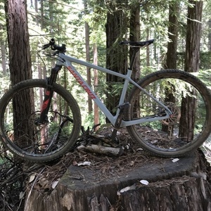 2018 Santa Cruz Highball Silver, gray or bare metal