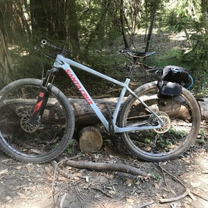 2018 Santa Cruz Highball Silver, gray or bare metal