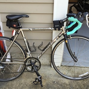 2015 Jamis Silver or Gray