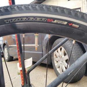 Specialized Crosstrail Brown and Silver, gray or bare metal