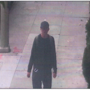 2011 True North Costom White