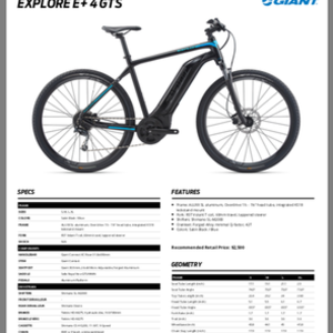 2020 Giant GTS Black