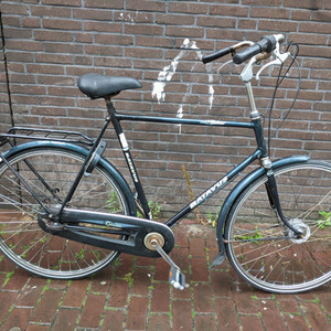 Batavus Verona Green