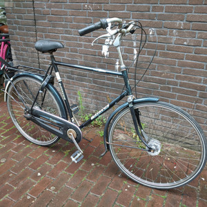 Batavus Verona Green