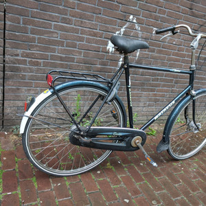 Batavus Verona Green