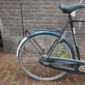 Batavus Verona Green