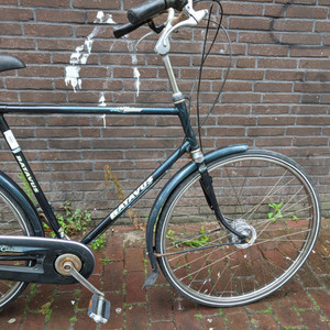 Batavus Verona Green