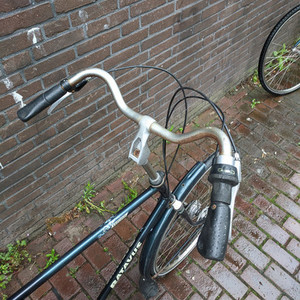 Batavus Verona Green