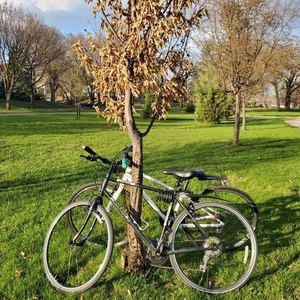 2018 Jamis Coda Sport Black