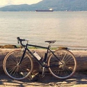 2017 Raleigh Super Course Blue
