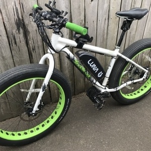 2013 Salsa Mukluk White and Green