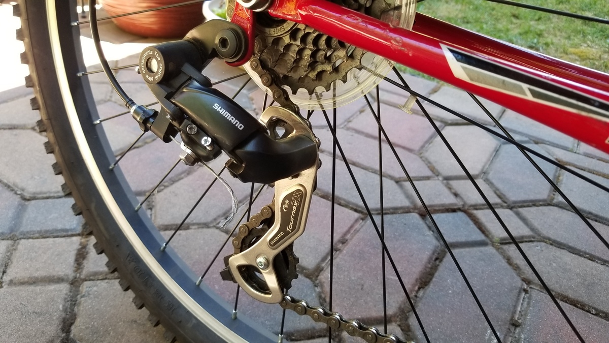 schwinn traverse
