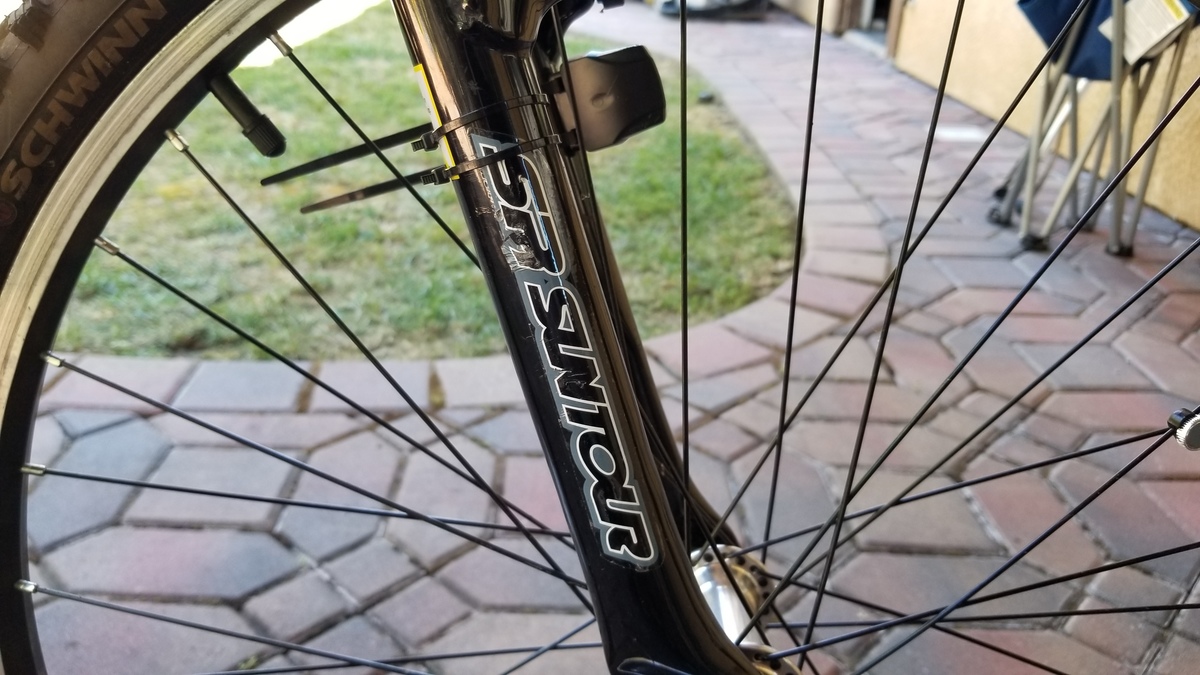 schwinn traverse