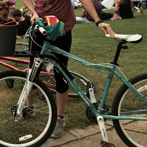 Raleigh Eva Blue