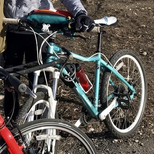Raleigh Eva Blue