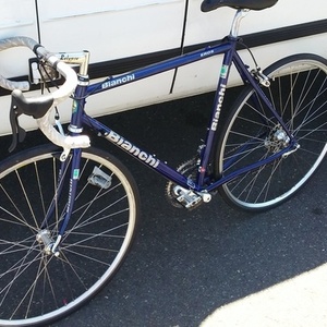 2006 Bianchi eros Blue