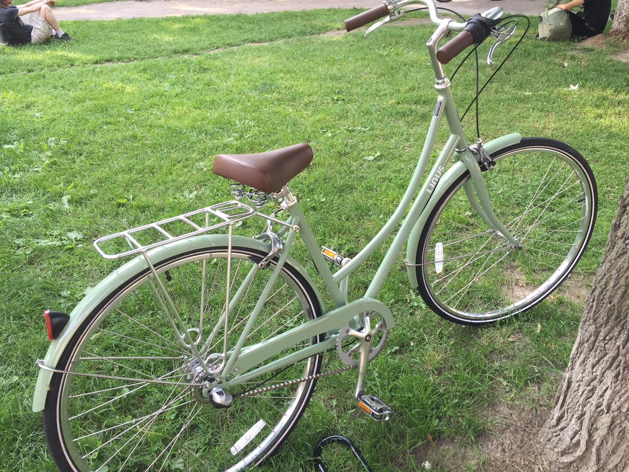 linus dutchi 3 stores