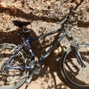 2005 Schwinn Mesa Blue, Black, and Silver, gray or bare metal