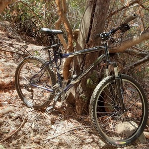 2005 Schwinn Mesa Blue, Black, and Silver, gray or bare metal