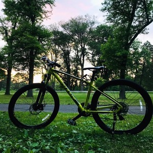 2020 Giant Atx Yellow or Gold