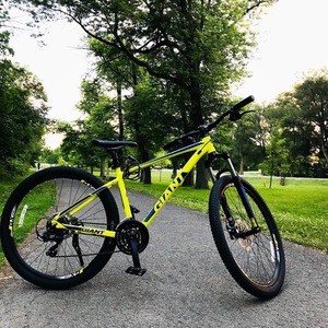 2020 Giant Atx Yellow or Gold