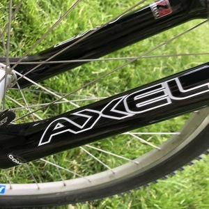 1994 Specialized Stumpjumper FSR Silver, gray or bare metal