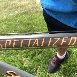 1994 Specialized Stumpjumper FSR Silver, gray or bare metal