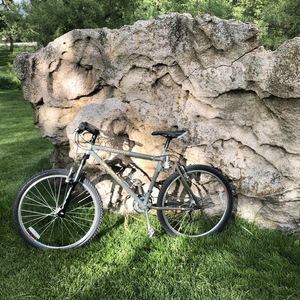 1994 Specialized Stumpjumper FSR Silver, gray or bare metal