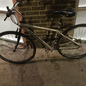 2019 Marin Bikes 13.5 inch Silver, gray or bare metal