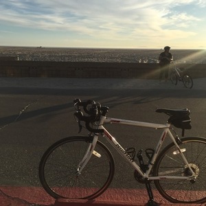 2015 Nishiki Maricopa White