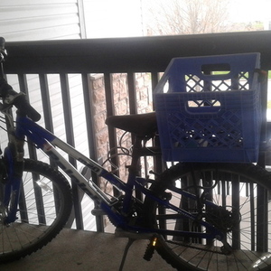 Raleigh M20 Blue and White