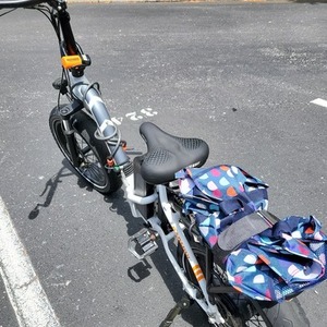 2019 Rad Power Bikes Folding mini step thru White